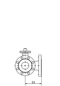 PN4.0-6.3MPa法兰形式