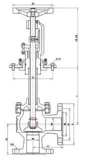 DJ44W-6T低温角式截止阀 (结构尺寸图) 